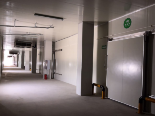 食品公司內建造一個1000平包子、水餃速凍冷庫費用是多少？