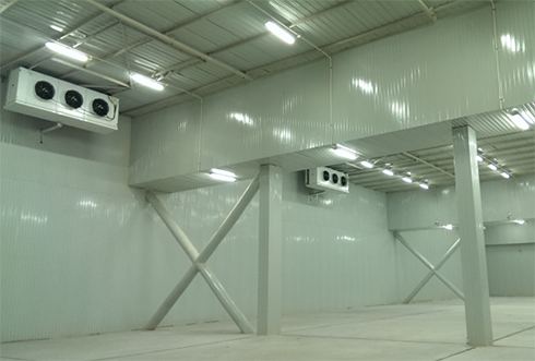 速凍冷庫設計注意事項及其具備功能有哪些？