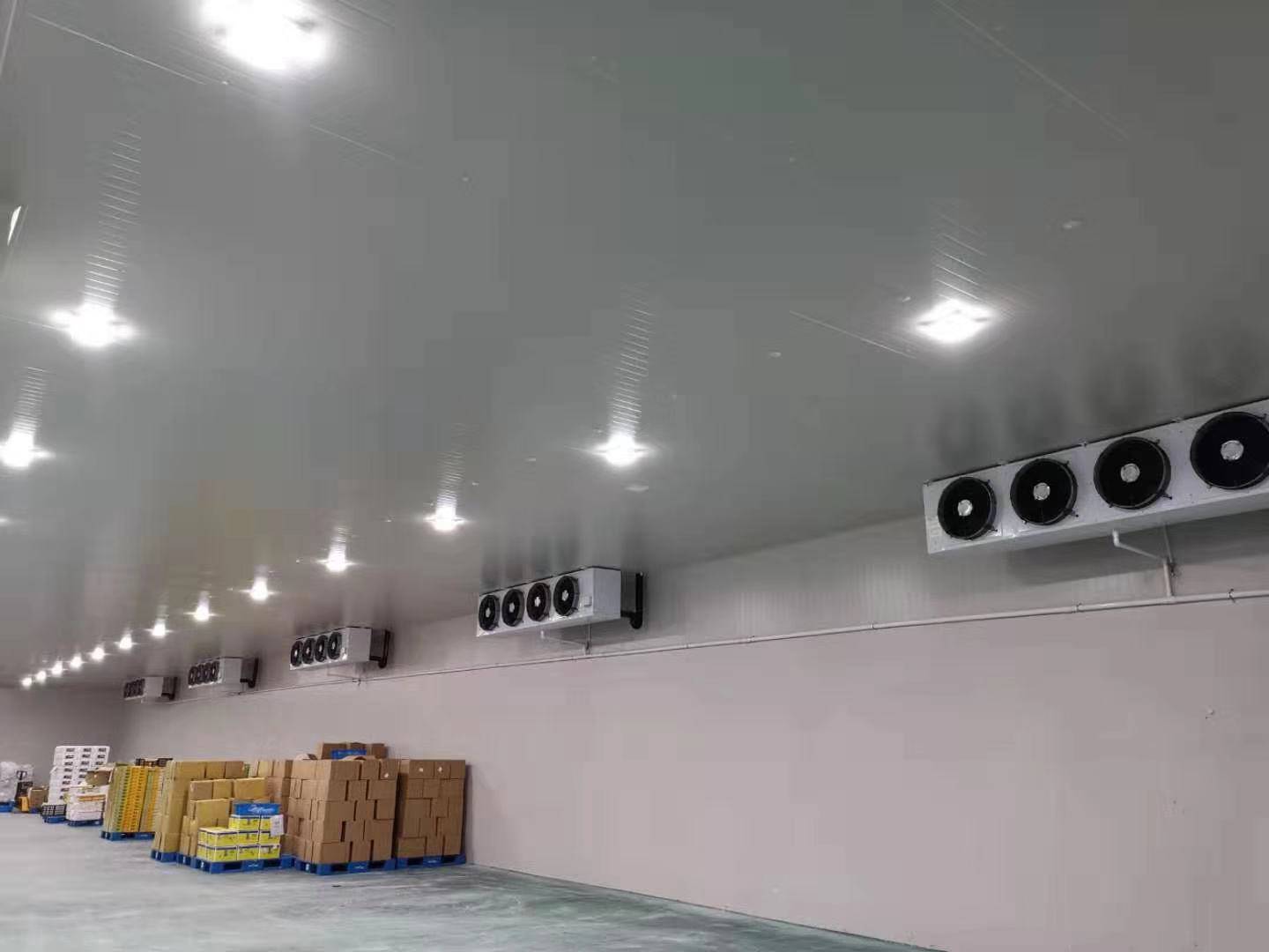 城市周邊建造一個8800平生鮮電商冷庫設計安裝費用？