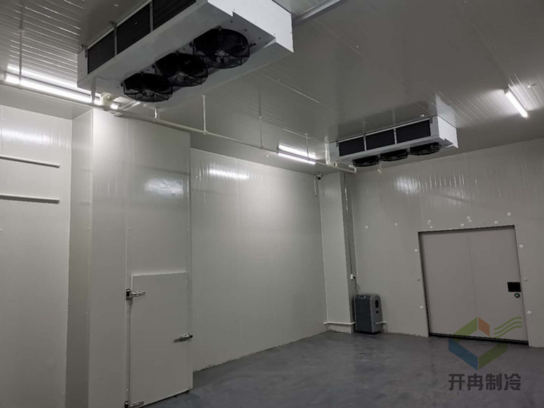 醫(yī)藥專業(yè)冷庫建設(shè)標準 醫(yī)藥專業(yè)冷庫建設(shè)標準