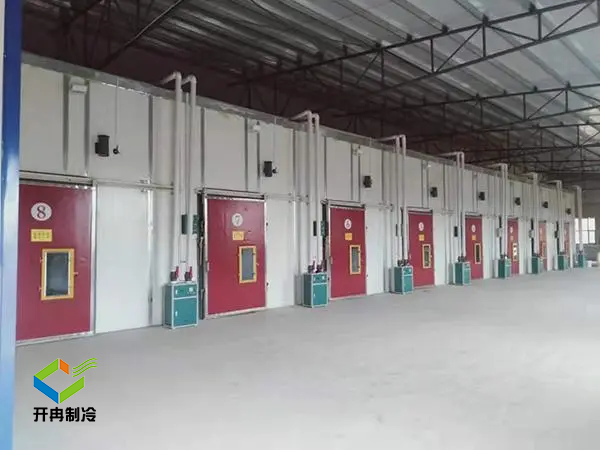 氣調保鮮冷庫需要用到哪些氣體？