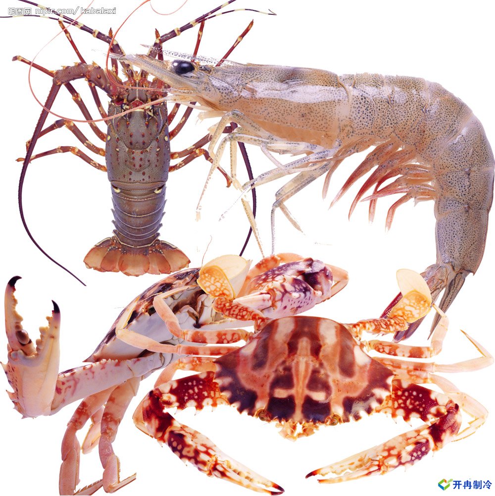 500平米海鮮冷庫建造，-25℃冷凍庫造價多少錢