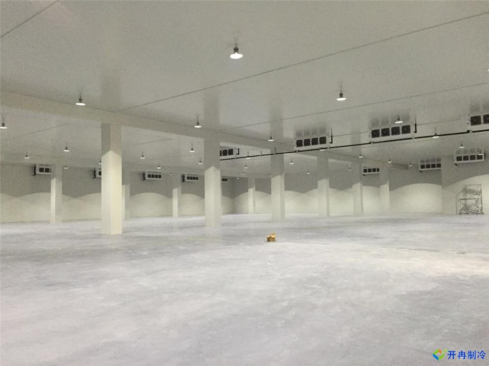 上海建500平米冷凍庫(kù)，冷庫(kù)造價(jià)成本多少錢